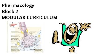 Pharmacology of Block 2  Part 1   MSK Module  All topics [upl. by Naitsabes]