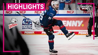 Nürnberg Ice Tigers  Straubing Tigers  Highlights PENNY DEL 2324  MAGENTA SPORT [upl. by Borlase834]