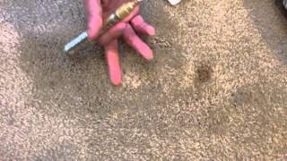 How To Remove Bleach Stains from Carpet [upl. by Bayly]