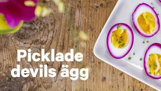 Gör egna picklade devils ägg [upl. by Idihc]