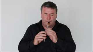 Killarney Whistle Played By Padraig Buckley comaker of Killarney Whistle [upl. by Akahs]