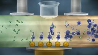 How Electrochemiluminescence ECL Works [upl. by Almallah513]