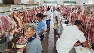 AS FEIRAS DO NORDESTE TEM PREÇO BAIXO E FARTURA OLHA ISTO BRASIL [upl. by Itsyrk]