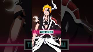 Ichigos True Bankai is Extremely Dangerous Kurosaki Ichigos True Bankai Explained Bleach TYBW [upl. by Marthena]