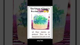 The Future of Food is in a Test Tube [upl. by Anitsirt716]