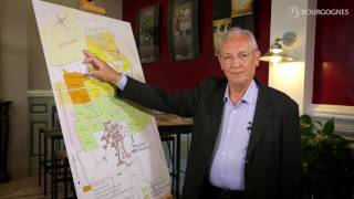 Côte de Beaune  les appellations décryptées par JeanPierre Renard [upl. by Nolla]