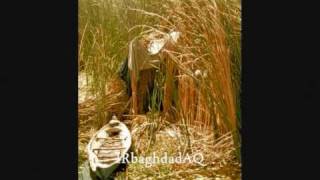 Marshes of Iraq in 1977  اهوار العراق عام 1977م [upl. by Maletta]