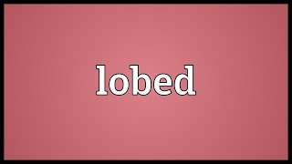 Lobed Meaning [upl. by Nelyak427]