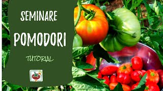 Seminare i pomodori ecco come e quando Tutorial completo [upl. by Zurkow]