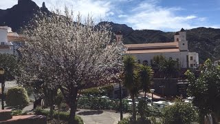 45º Fiestas del Almendro en Flor de Tejeda 2015 [upl. by Neraa484]