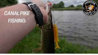 Lure fishing for canal PIKE [upl. by Enneirb798]