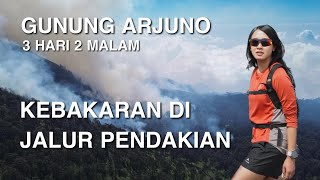 PENDAKIAN GUNUNG ARJUNO via SUMBER BRANTAS CANGAR  KEBAKARAN DI GUNUNG [upl. by Possing]