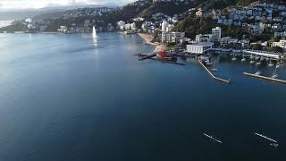 Carbonology SurkSki Flash in Wellington Harbour [upl. by Iramohs]