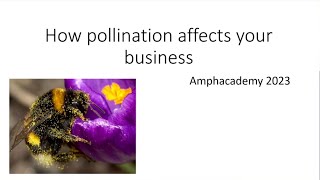 Amphacademy 2023 How Pollination Affects Your Business Jan Droppers [upl. by Nala]