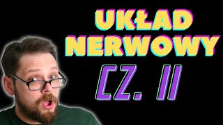 Układ nerwowy 2 Rdzeń kręgowy i Obwodowy układ nerwowy Druga część opowieści o układzie nerwowym [upl. by Alair]