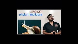 phylum mollusca  animal classification  Viral Short  Avinash sir [upl. by Meara]