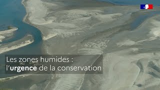 Les zones humides  l’urgence de la conservation [upl. by Elyag]