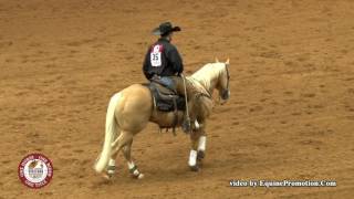 2017 Worlds Greatest Horseman Champions Heza Diamond Spark and John Swales [upl. by Ut920]