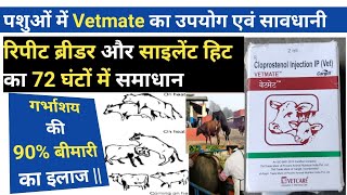 vetmate injection  पशुओं में vetcare vetmate injection के उपयोग और सावधानी  vetmate 2ml  vetcare [upl. by Ailefo]