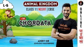 phylum chordata  malayalam  class 11  animal kingdom  knowledge vlogger  NCERT  NEET plus one [upl. by Ayot103]