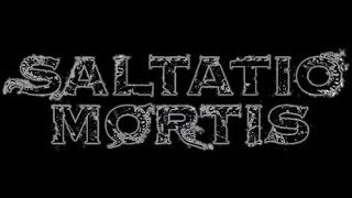 Saltatio Mortis  Früher war alles besser Live 2015  Songtext [upl. by Peadar167]