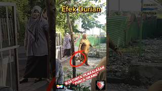 Durian Punya Orang Viral 2 Sekolah Durian [upl. by Noby603]