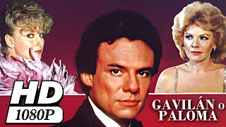 Película  Gavilán o paloma 1985  REMASTERIZADA HD RESUBIDA [upl. by Wahs]