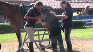 Ippoterapia con i poliziotti a cavallo [upl. by Llertnad]