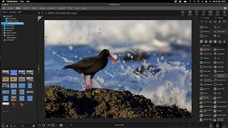 Photoscape Image editing basics by Andrew Aveley [upl. by Tail646]