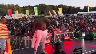 The Biggest Dj in Zimbabwe “Dj Fantan on Stage at UK Zimfest 2023” [upl. by Hanauq]