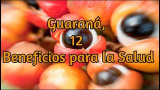 Guaraná 12 Beneficios para la Salud [upl. by Araeit652]