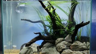 Nano Iwagumi Aquascape quotBluesky and Redsandquot ADA Mini M  Step by Step [upl. by Ahidam194]