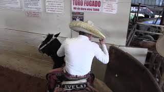 COLEADERO MILLONARIO PROMOCIONES HINOJOSA LIENZO CHARRO EL ZACATECANO 10212018 [upl. by Ube]