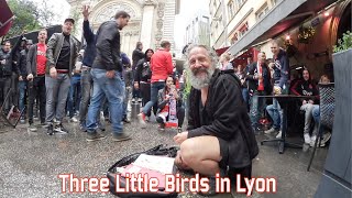 Three little birds in Lyon Ajax [upl. by Renat]