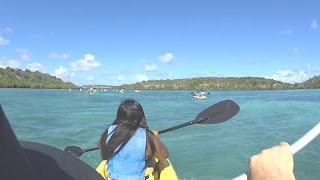 Kayak and Snorkel Adventure  Antigua West Indies [upl. by Nilreb]