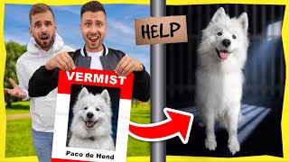 PACO DE HOND IS VERMIST De Zoektocht [upl. by Llednav960]