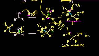 Formation of imines and enamines  Aldehydes and ketones  Organic chemistry  Khan Academy [upl. by Bucher]