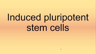 Induced Pluripotent Stem Cells Pronunciation  How to Say  How to Pronounce [upl. by Nnylaf]