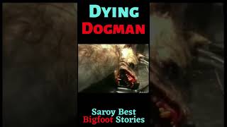 Dying Dogman Werewolf  😨😨This cant be real😥 bigfoots testimony [upl. by Gabrielson]