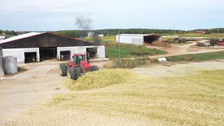 Oh Crap A 435 HP Tractor is Pushing 40 Tons of Silage [upl. by Ahsaercal]