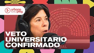 Milei consiguió blindar el veto a la ley de financiamiento universitario Audios en DeAcáEnMás [upl. by Mosira523]