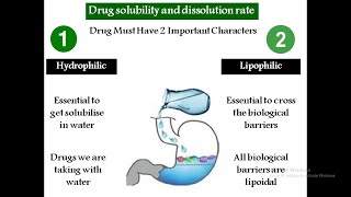 Part 1 Factors Influencing Gastro Intestinal Absorption of Drugs Drug Solubility Dissolution Rate [upl. by Awram]