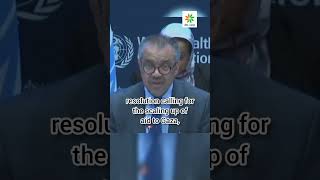 WHO chief on UNSC resolution iwfs gaza israel palestine hamas [upl. by Franz]