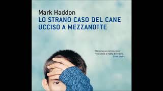 Lettura incipit de quotLo strano caso del cane ucciso a mezzanottequot di Mark Haddon  Edizioni Einaudi [upl. by Leimad]