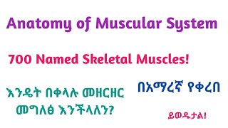 እንዴት 700 ጡንቻዎችን በቀላሉ መቁጠር መዘርዘርና ማወቅ እንችላለን ǀ How to count list 700 muscles Muscular System [upl. by Beverie579]