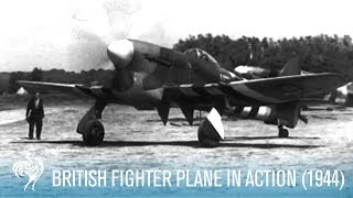 British RAF Hawker Tempest Fighter Plane in Action 1944  British Pathé [upl. by Bryana278]