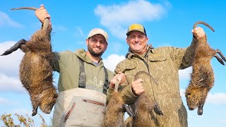 Hunting Massive Marsh Rats from a boat Catch Clean Cook Cajun Rat Rolls [upl. by Aihsot]