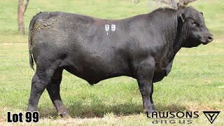 Lot 99 Lawsons Rocky VLY23U4017 [upl. by Moraj]