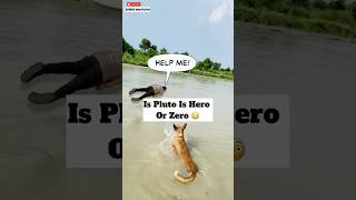 Dog Pluto Saves Man From Drowning I 😳  minivlog [upl. by Awram225]