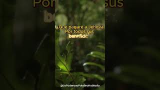 🔥Frases de Dios para FORTALECER tu ESPIRITU  MEDITACION de la PALABRA de DIOS  Short 684 [upl. by Danais]